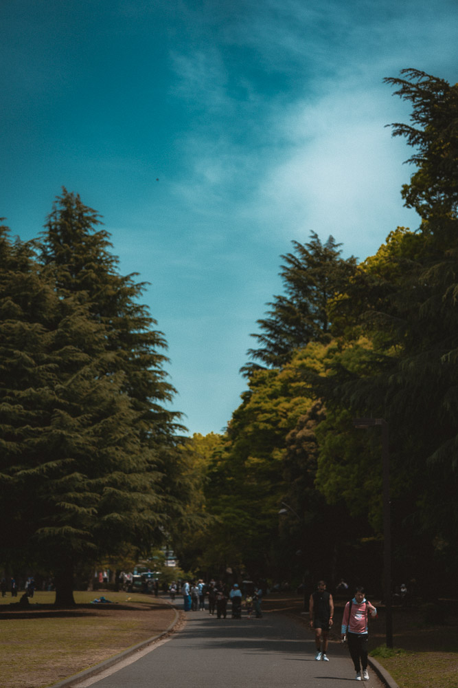 After Preset